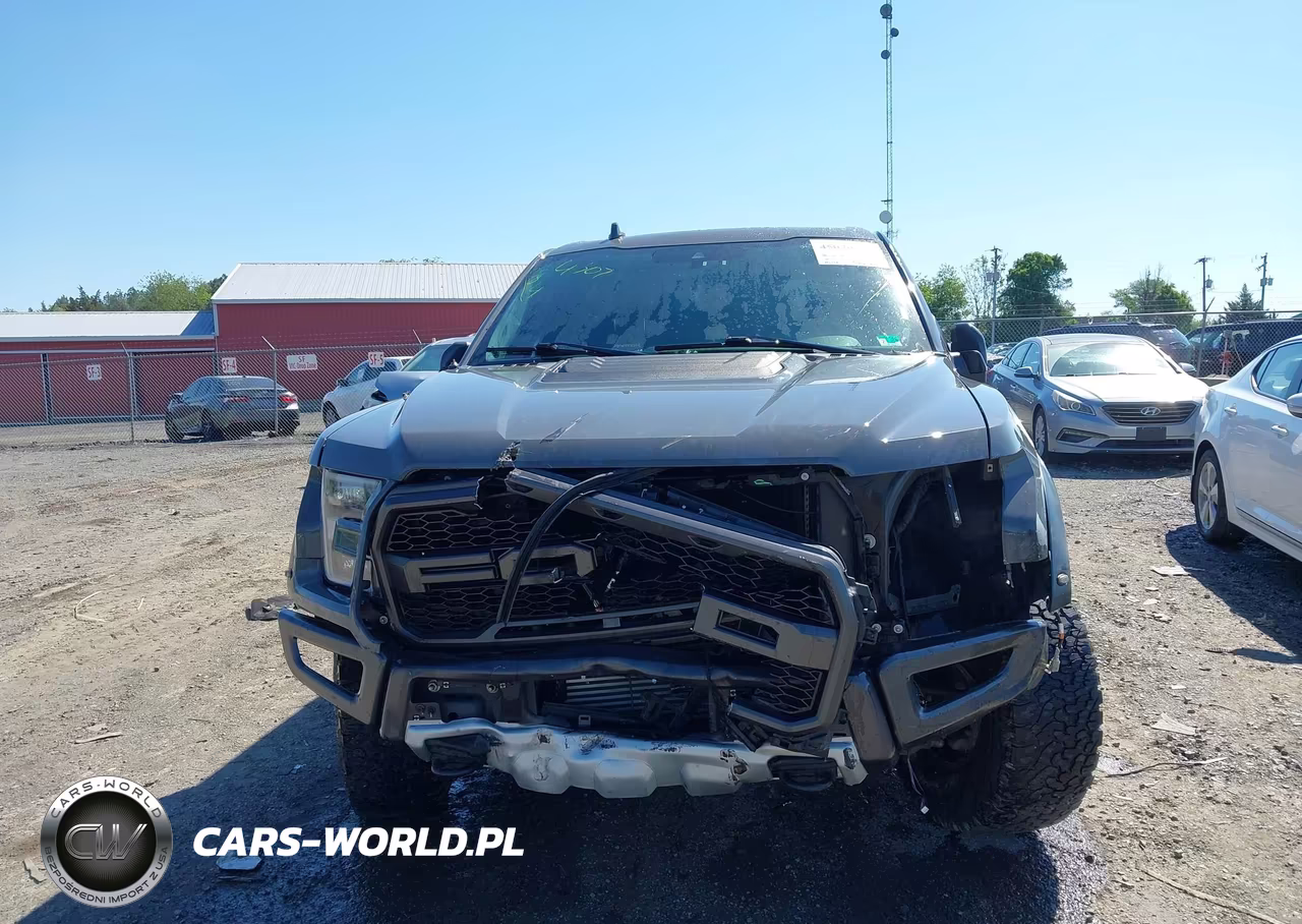 2020 Ford F-150 Raptor VIN:1FTFW1RG9LFC66536 - 12