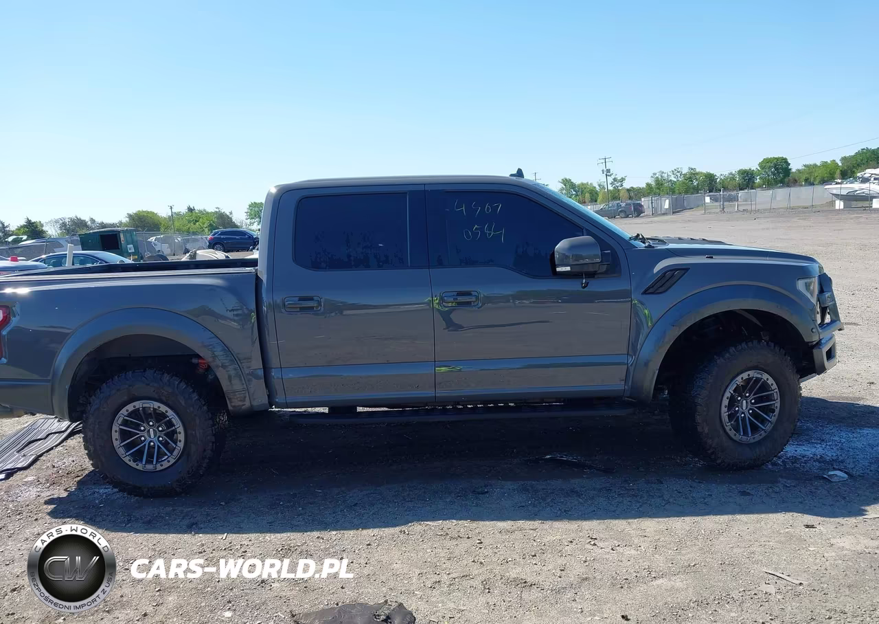 2020 Ford F-150 Raptor VIN:1FTFW1RG9LFC66536 - 13