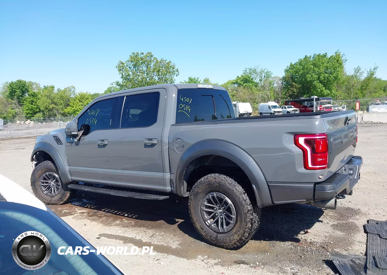 2020 Ford F-150 Raptor VIN:1FTFW1RG9LFC66536 - 14