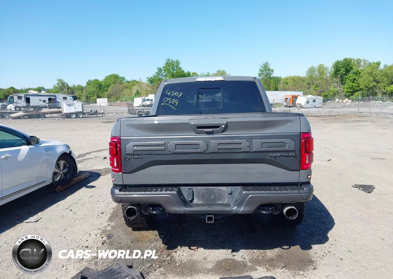 2020 Ford F-150 Raptor VIN:1FTFW1RG9LFC66536 - 16
