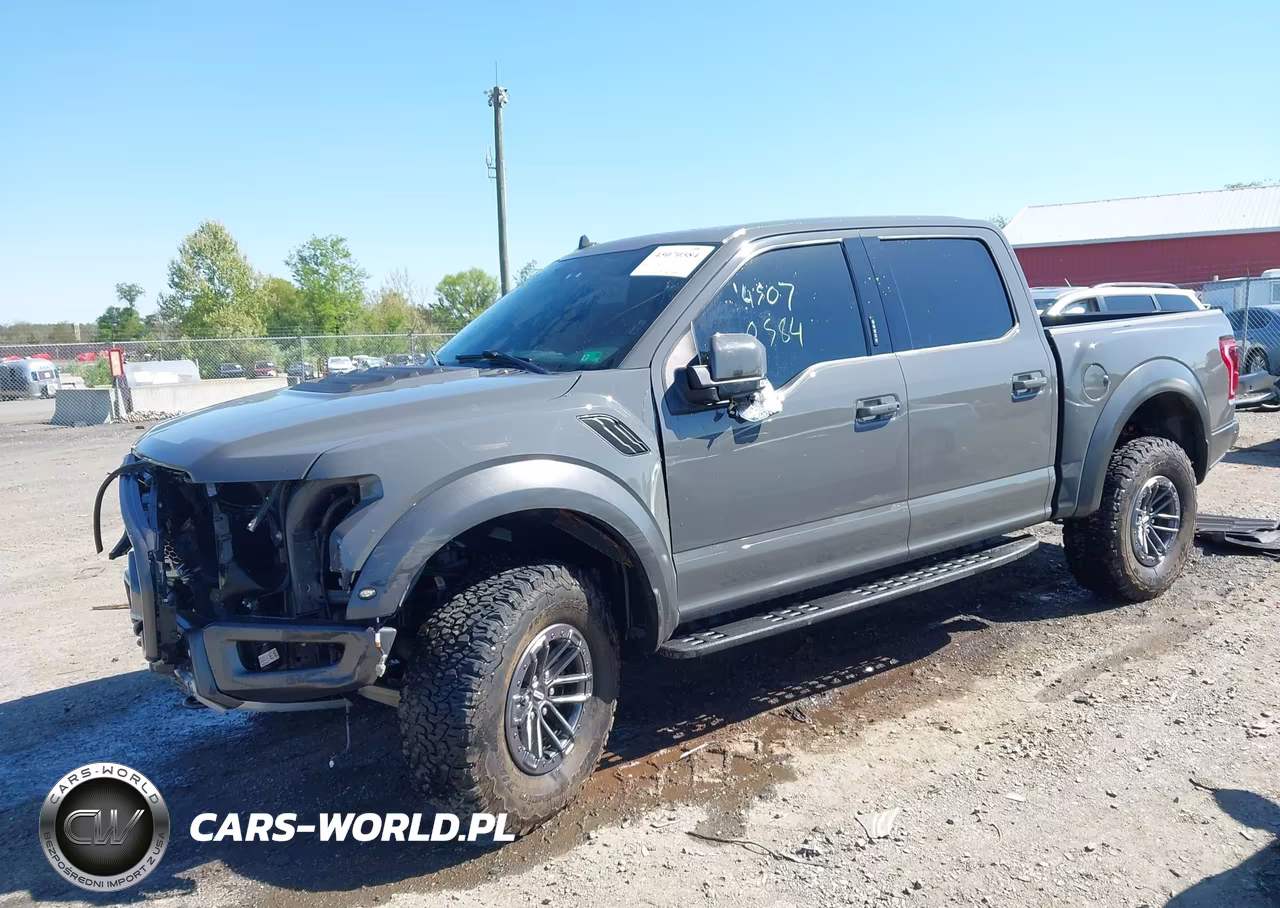 2020 Ford F-150 Raptor VIN:1FTFW1RG9LFC66536 - 2