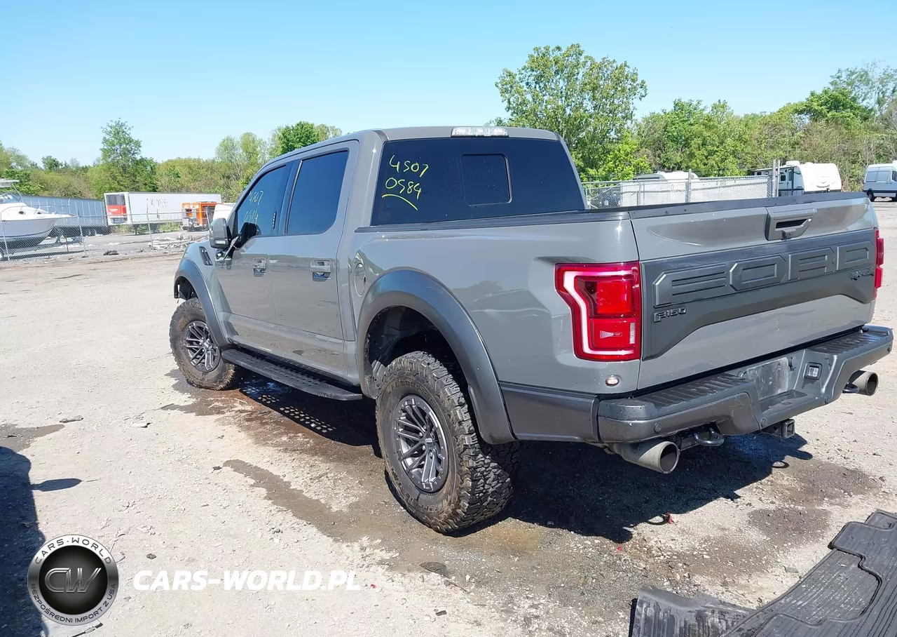 2020 Ford F-150 Raptor VIN:1FTFW1RG9LFC66536 - 3