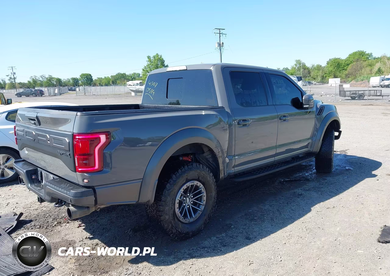 2020 Ford F-150 Raptor VIN:1FTFW1RG9LFC66536 - 4