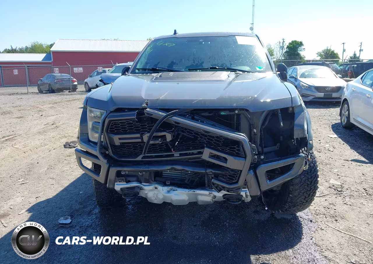 2020 Ford F-150 Raptor VIN:1FTFW1RG9LFC66536 - 6