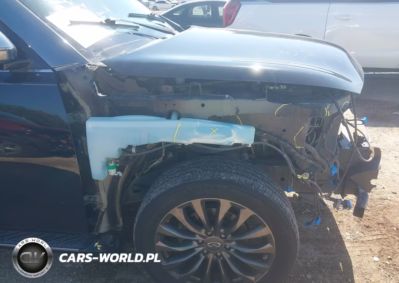 2017 Infiniti Qx80 Limited VIN:JN8AZ2NEXH9157329 - 20