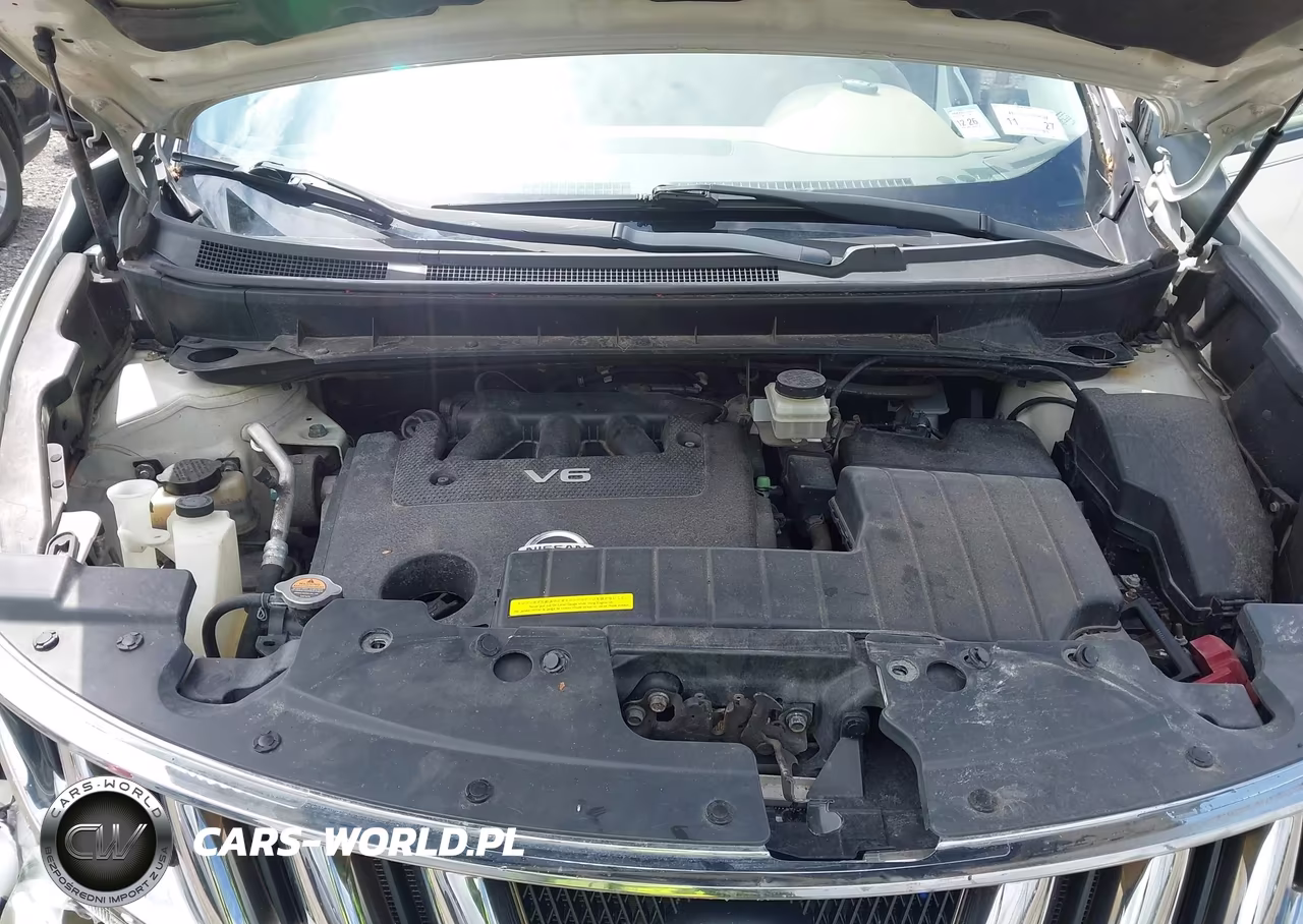 2009 Nissan Murano Sl VIN:JN8AZ18W79W206164 - 10