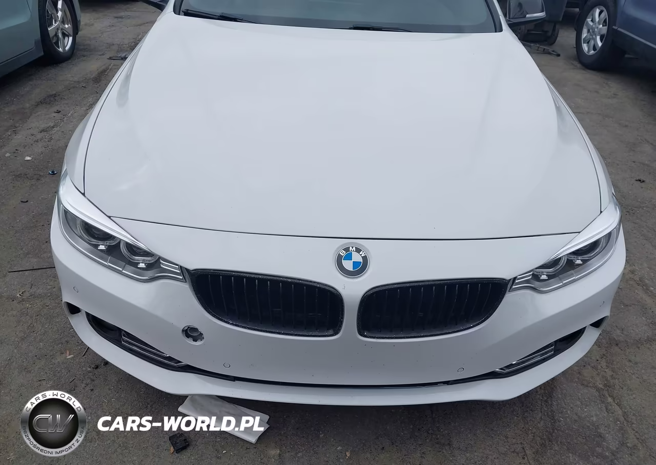 2017 BMW 430I VIN:WBA4R7C52HK679953 - 12