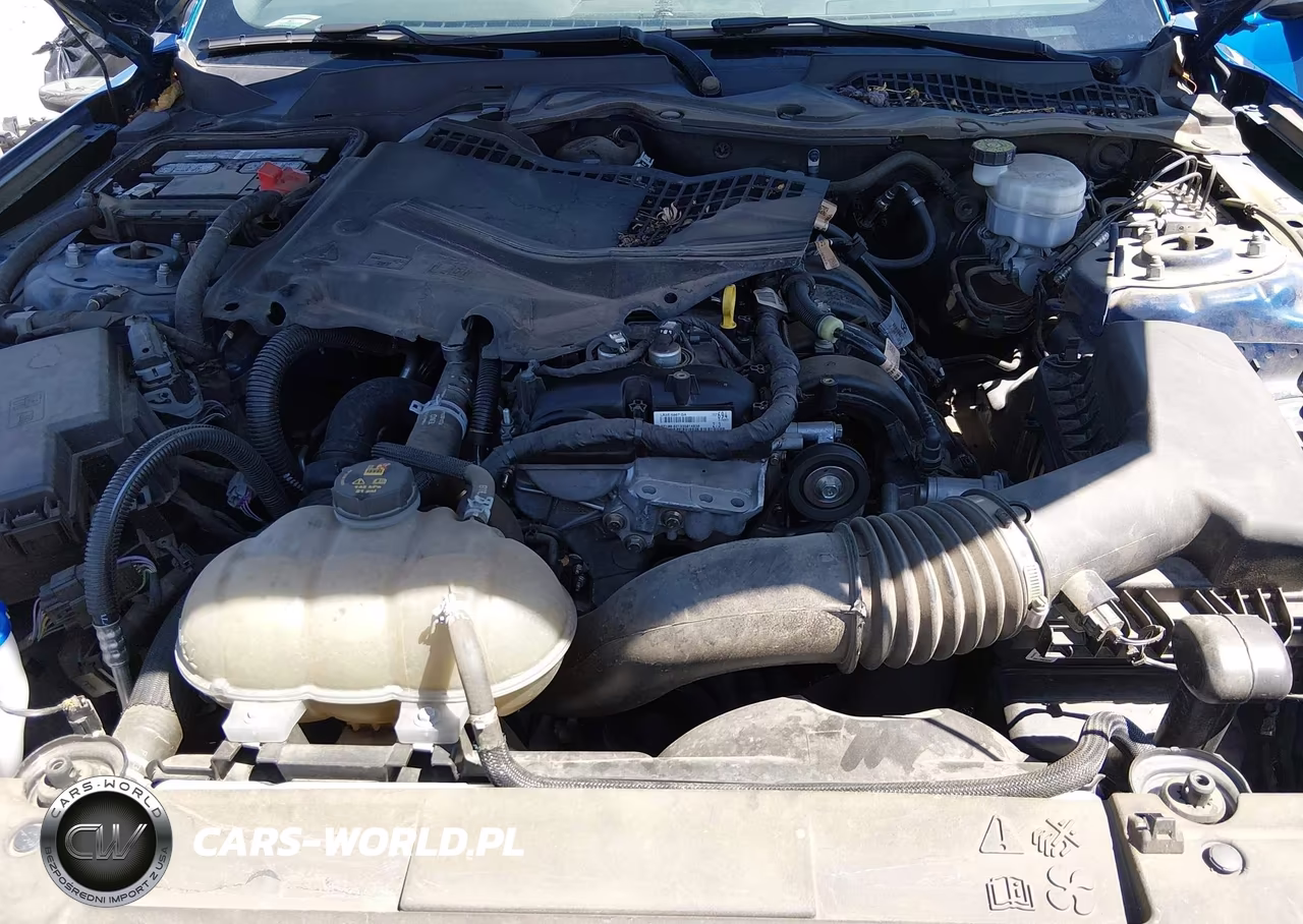 2022 Ford Mustang Ecoboost Fastback VIN:1FA6P8TH4N5108952 - 10