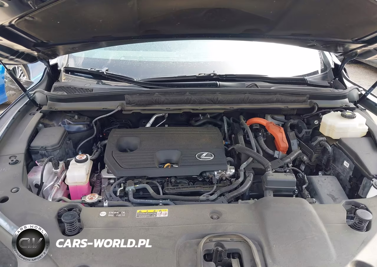 2024 Lexus Rx 350H Premium Plus VIN:2T2BBMCA6RC039821 - 10