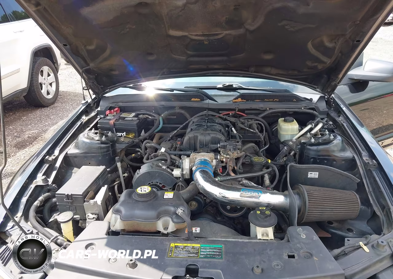 2005 Ford Mustang VIN:1ZVFT84N355195203 - 10