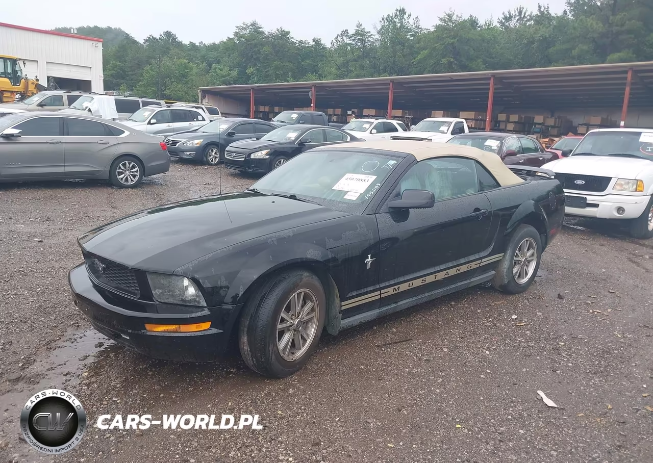 2005 Ford Mustang VIN:1ZVFT84N355195203 - 2
