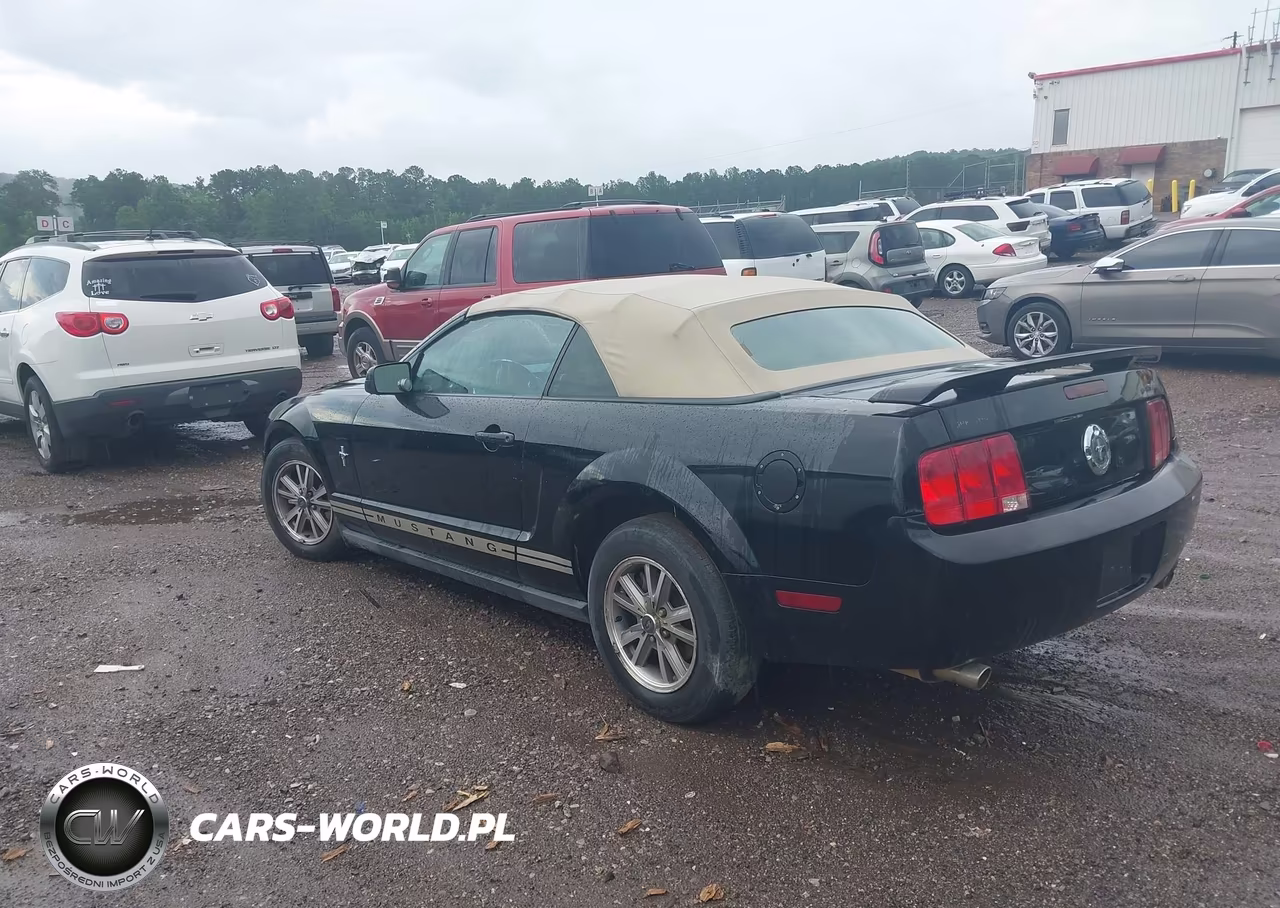 2005 Ford Mustang VIN:1ZVFT84N355195203 - 3