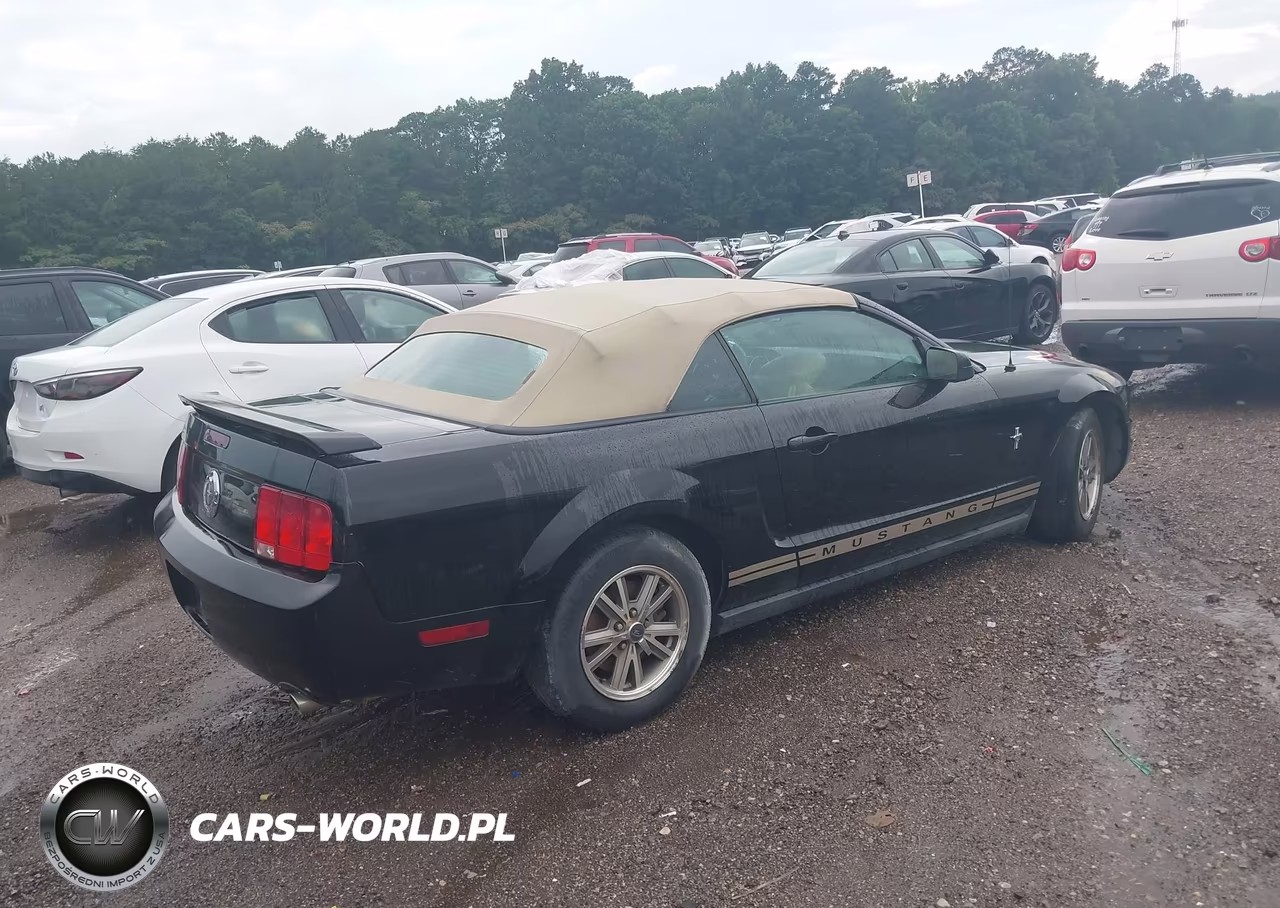 2005 Ford Mustang VIN:1ZVFT84N355195203 - 4