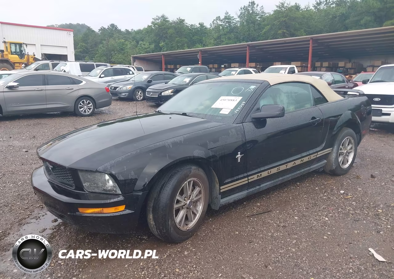 2005 Ford Mustang VIN:1ZVFT84N355195203 - 6