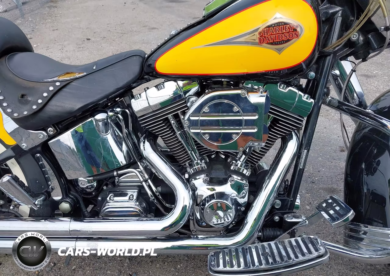 2000 Harley-Davidson Flstc VIN:1HD1BJY15YY031984 - 8