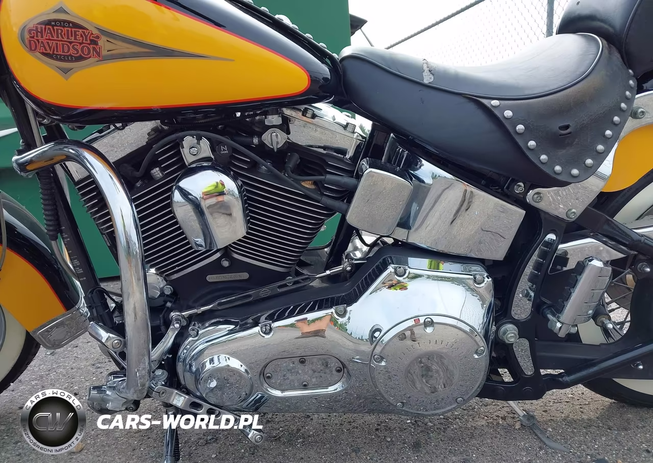 2000 Harley-Davidson Flstc VIN:1HD1BJY15YY031984 - 9