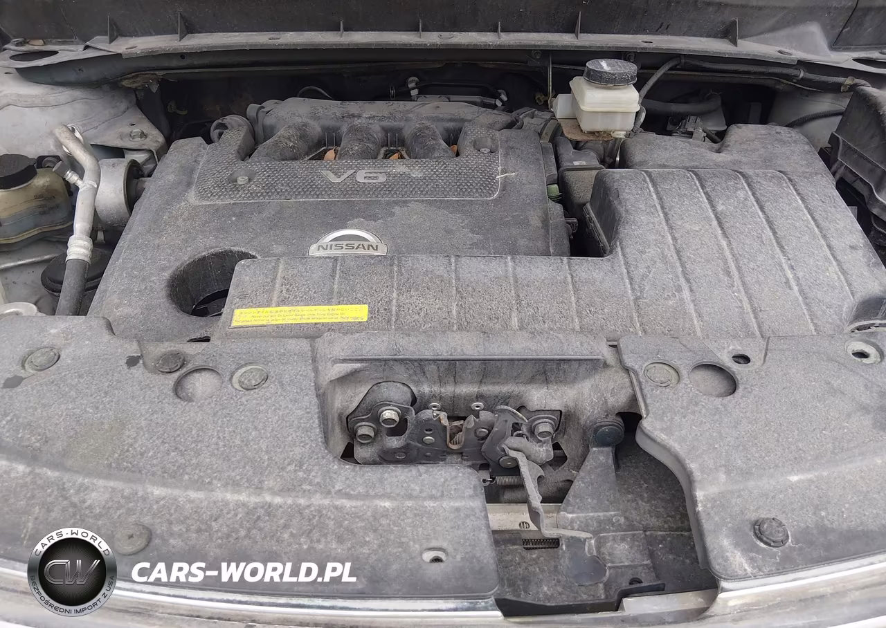2009 Nissan Murano S VIN:JN8AZ18U19W019064 - 10