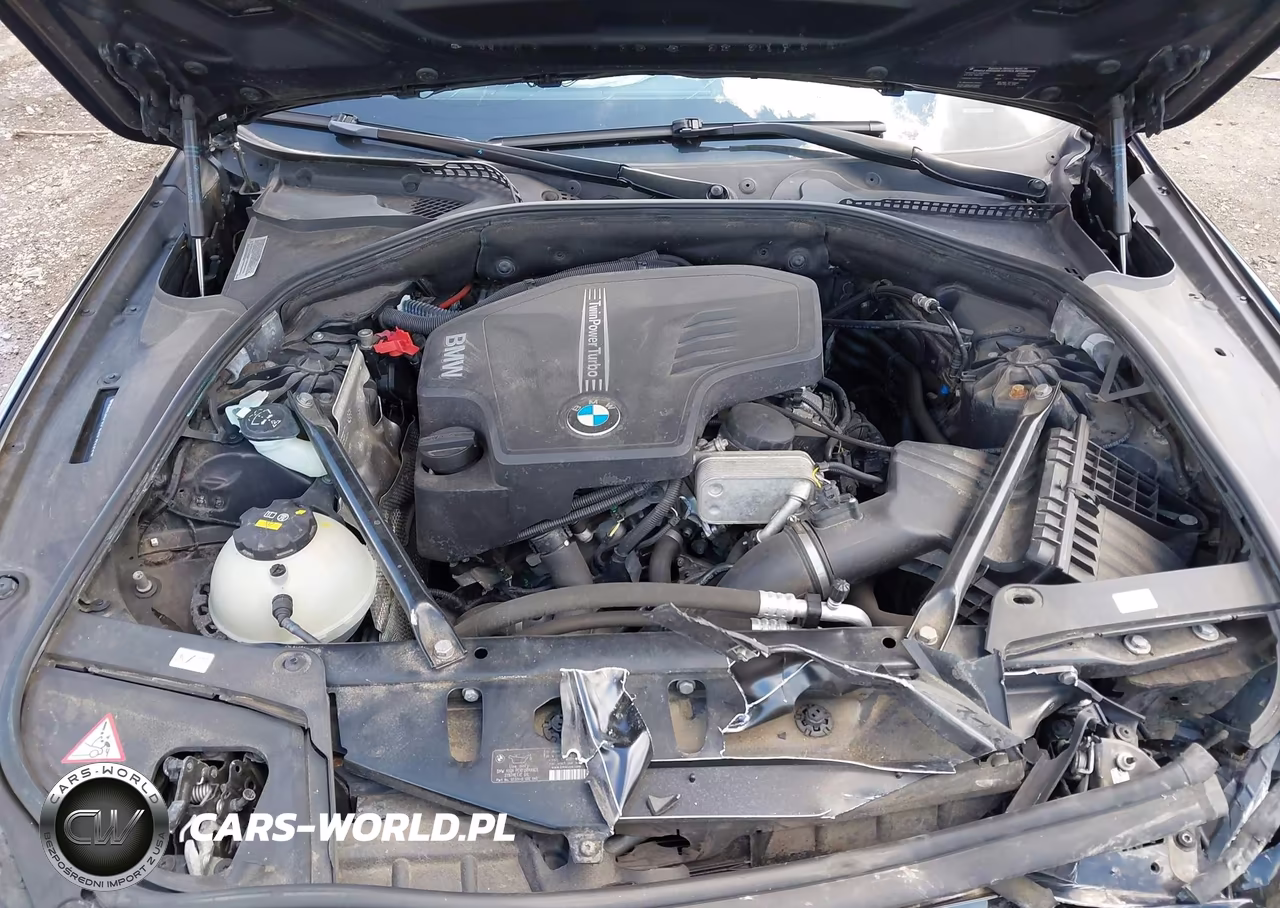2014 BMW 528I xDrive VIN:WBA5A7C51ED618203 - 10