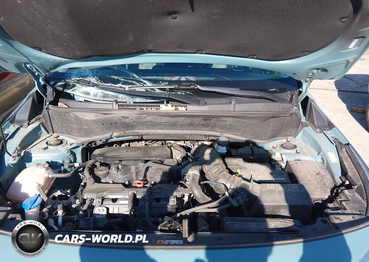 2024 Kia Seltos Sx Turbo VIN:KNDETCA70R7536929 - 10