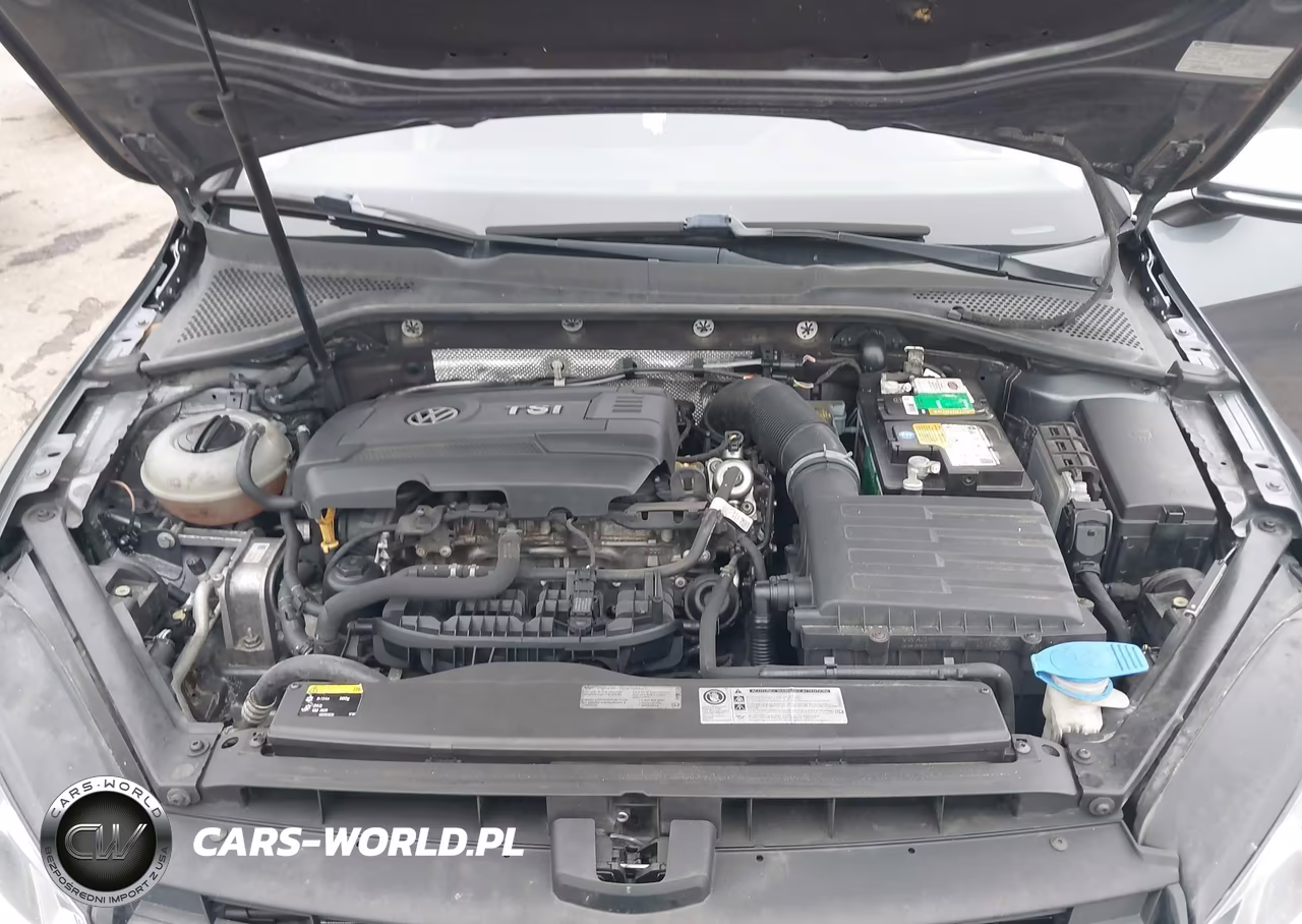 2015 Volkswagen Golf Tsi S 4-Door VIN:3VW217AU8FM014280 - 10