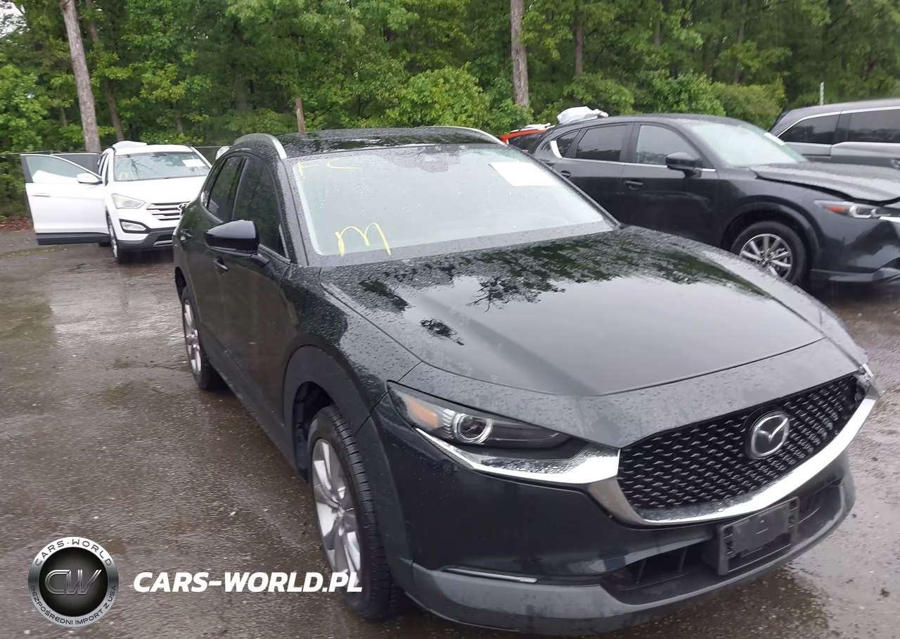 2020 Mazda Cx-30 Premium Package
