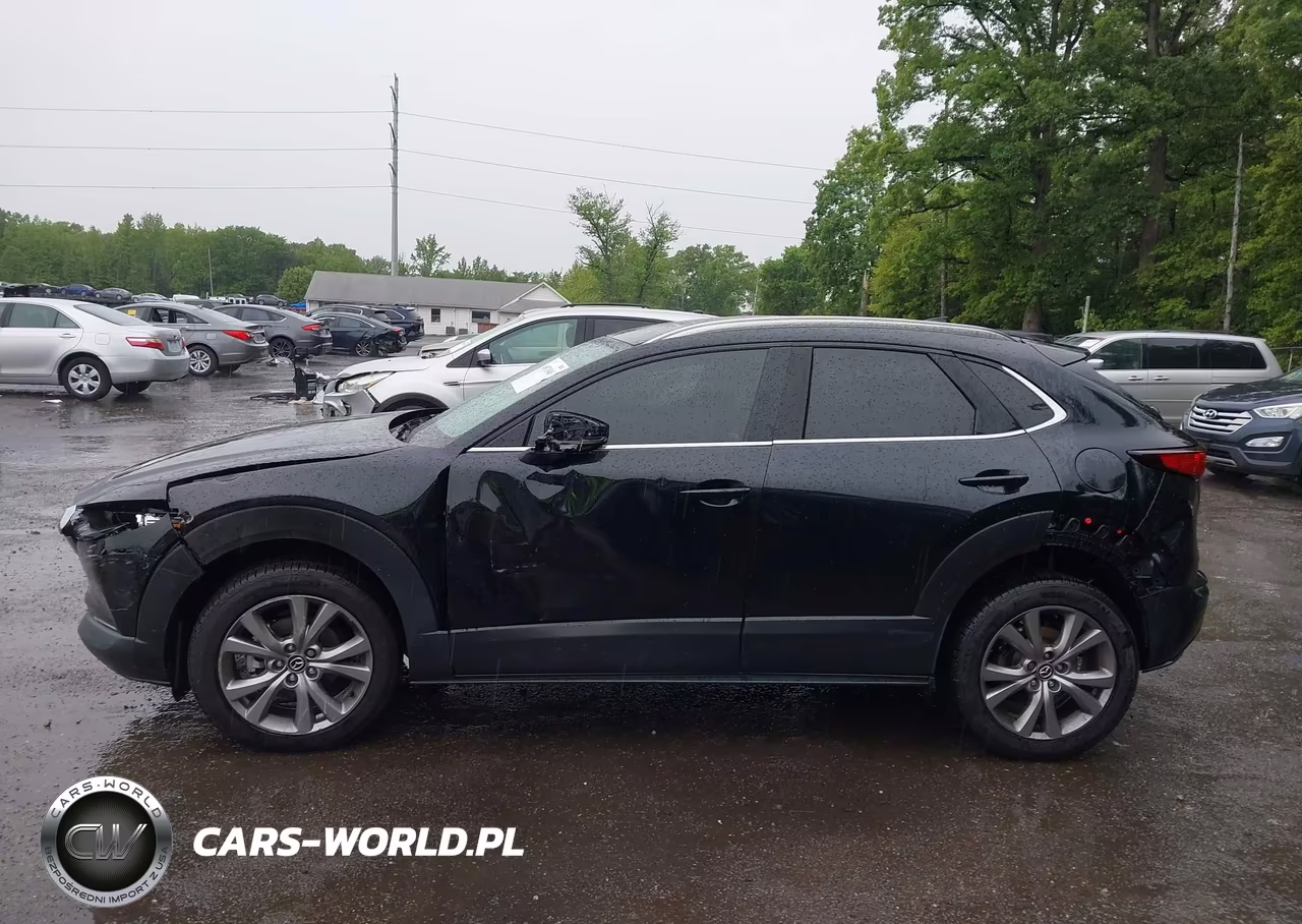 2020 Mazda Cx-30 Premium Package VIN:3MVDMBEM1LM136635 - 14