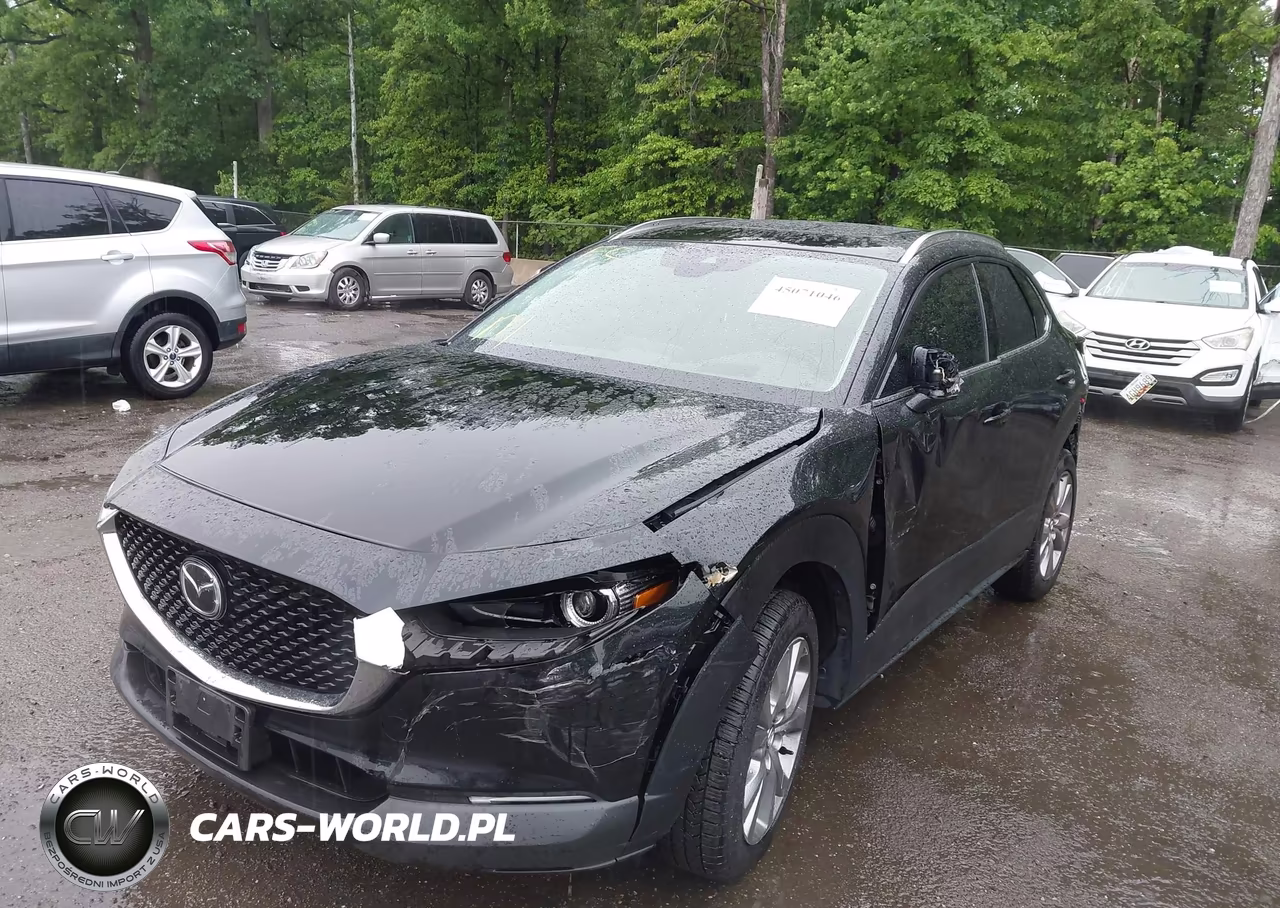 2020 Mazda Cx-30 Premium Package VIN:3MVDMBEM1LM136635 - 2
