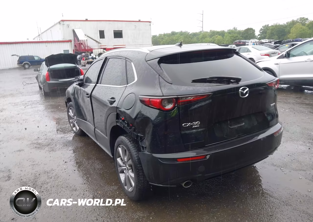 2020 Mazda Cx-30 Premium Package VIN:3MVDMBEM1LM136635 - 3
