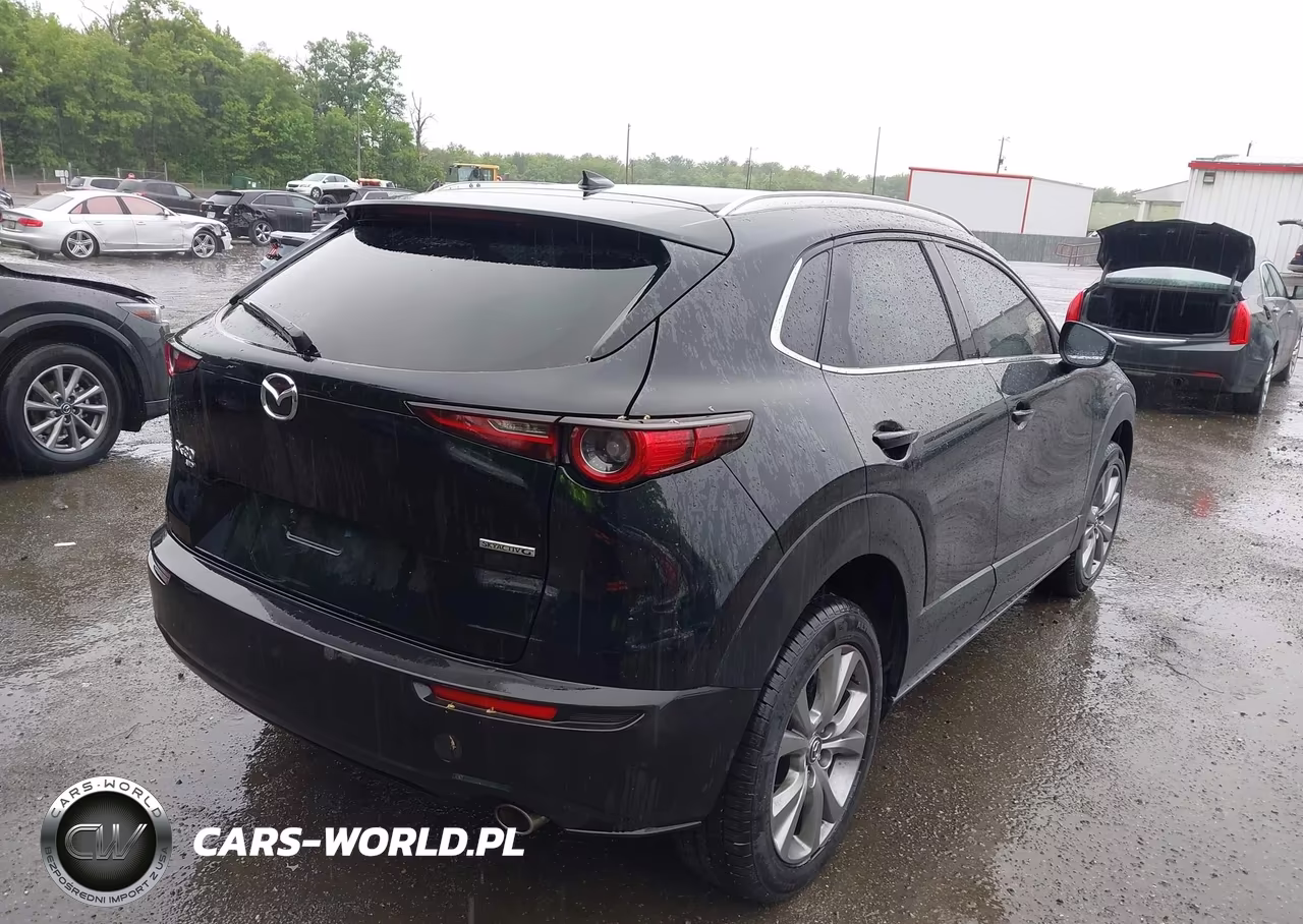 2020 Mazda Cx-30 Premium Package VIN:3MVDMBEM1LM136635 - 4