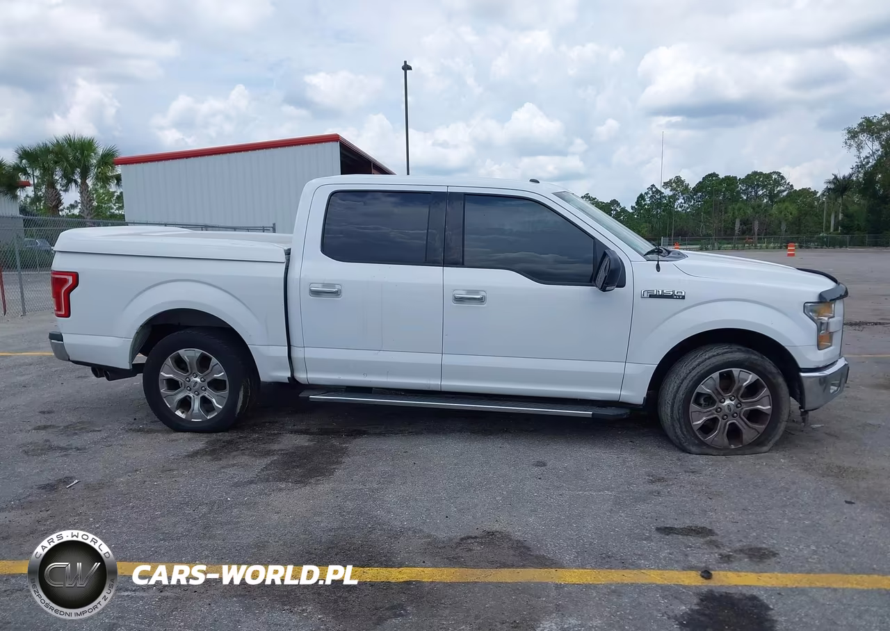 FORD F-150 VIN:1FTEW1CF6HKC70585 - 13