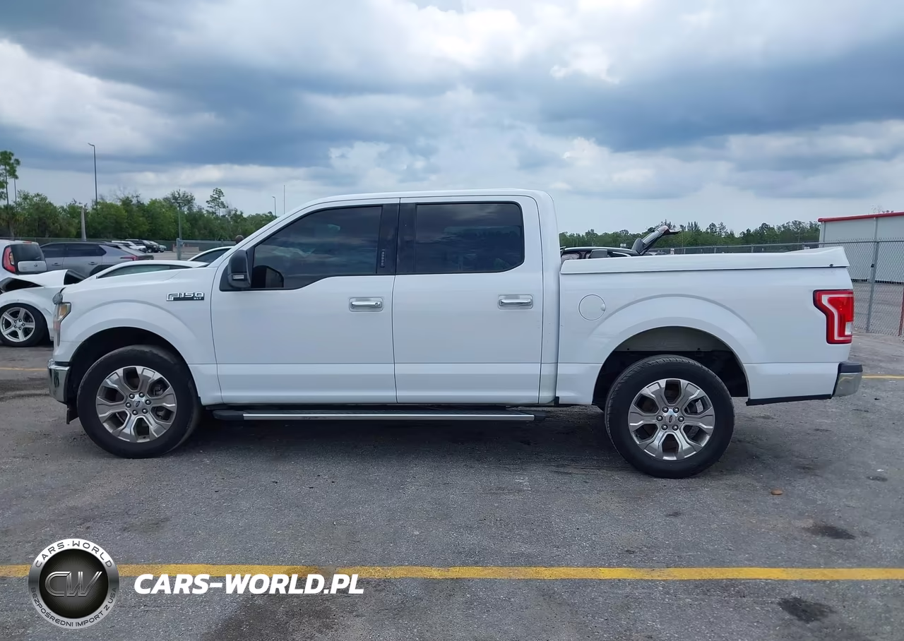 FORD F-150 VIN:1FTEW1CF6HKC70585 - 14