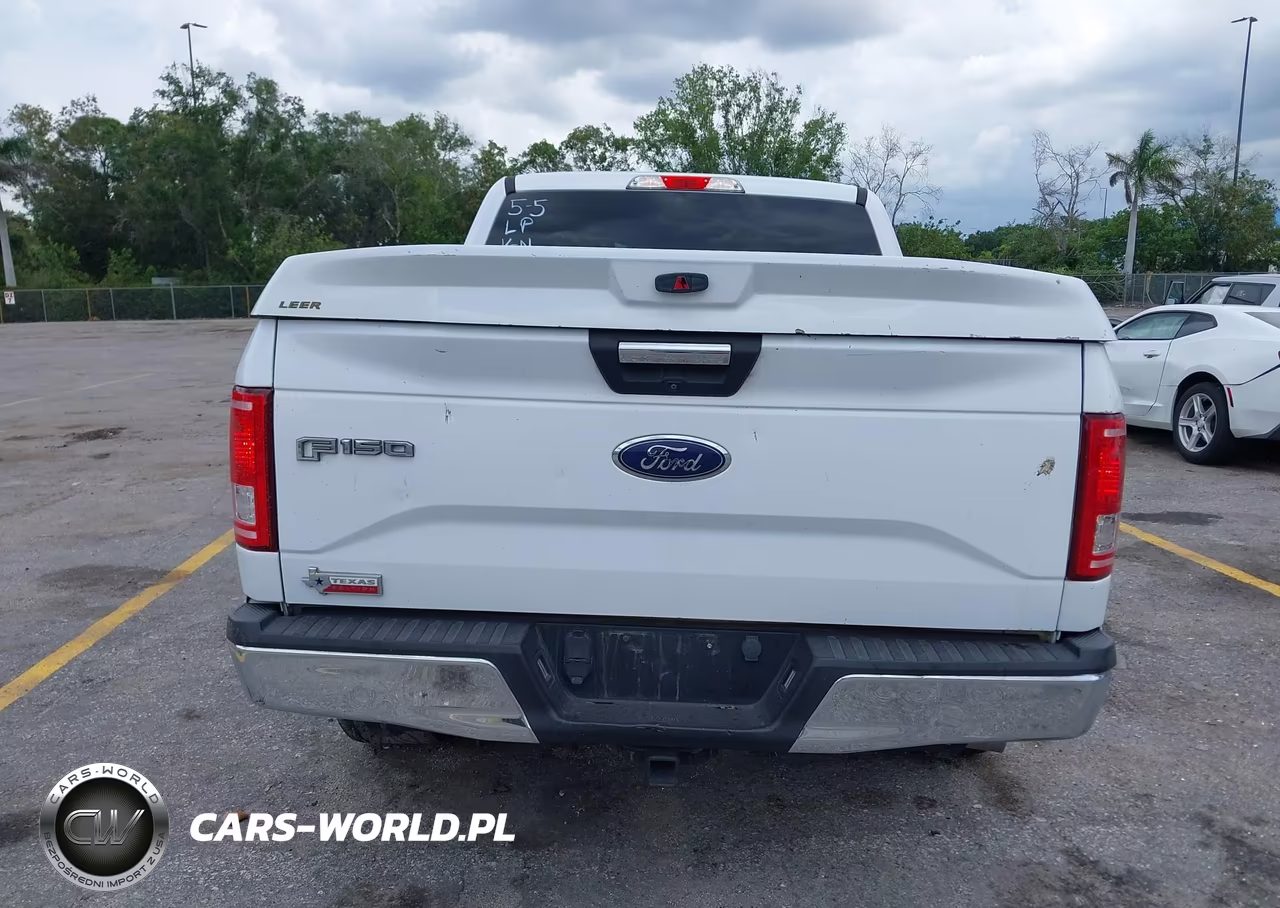 FORD F-150 VIN:1FTEW1CF6HKC70585 - 16