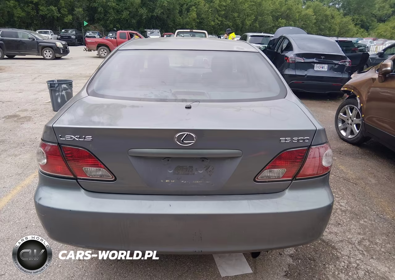 2002 Lexus Es 300 VIN:JTHBF30G020057192 - 17