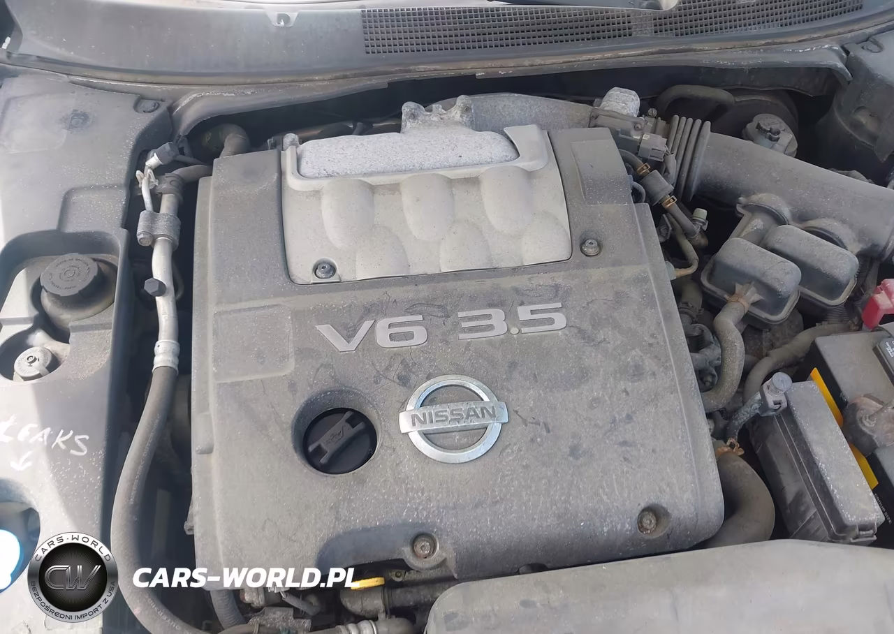 2008 Nissan Maxima 3.5 Se VIN:1N4BA41EX8C812039 - 10