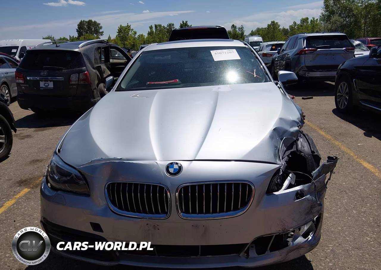 2014 BMW 528I xDrive VIN:WBA5A7C55ED618804 - 12
