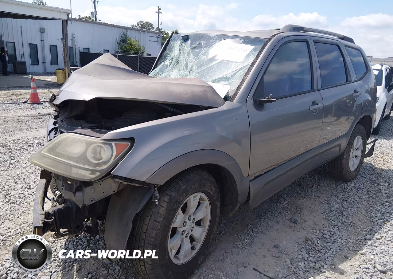 2009 Kia Borrego Lx VIN:KNDJJ741895015018 - 2