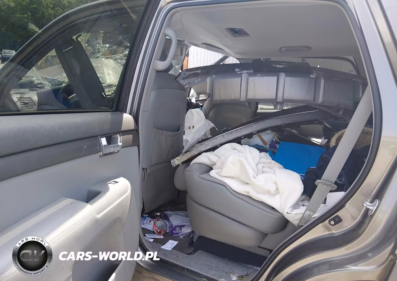 2009 Kia Borrego Lx VIN:KNDJJ741895015018 - 8