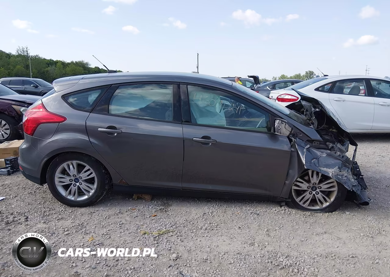 2013 Ford Focus Se VIN:1FADP3K24DL253927 - 12