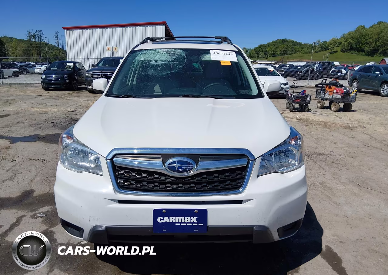 2016 Subaru Forester 2.5I Premium VIN:JF2SJADC1GH417320 - 12