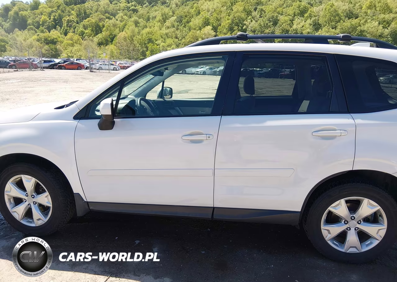2016 Subaru Forester 2.5I Premium VIN:JF2SJADC1GH417320 - 14