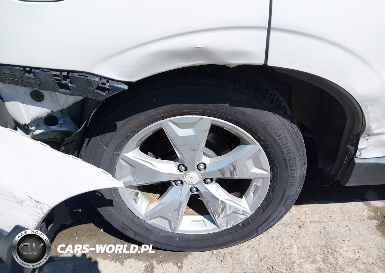 2016 Subaru Forester 2.5I Premium VIN:JF2SJADC1GH417320 - 19