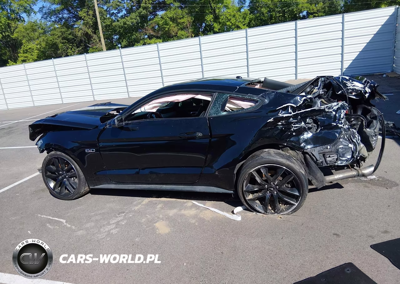 2015 Ford Mustang Gt Premium VIN:1FA6P8CF3F5407848 - 14