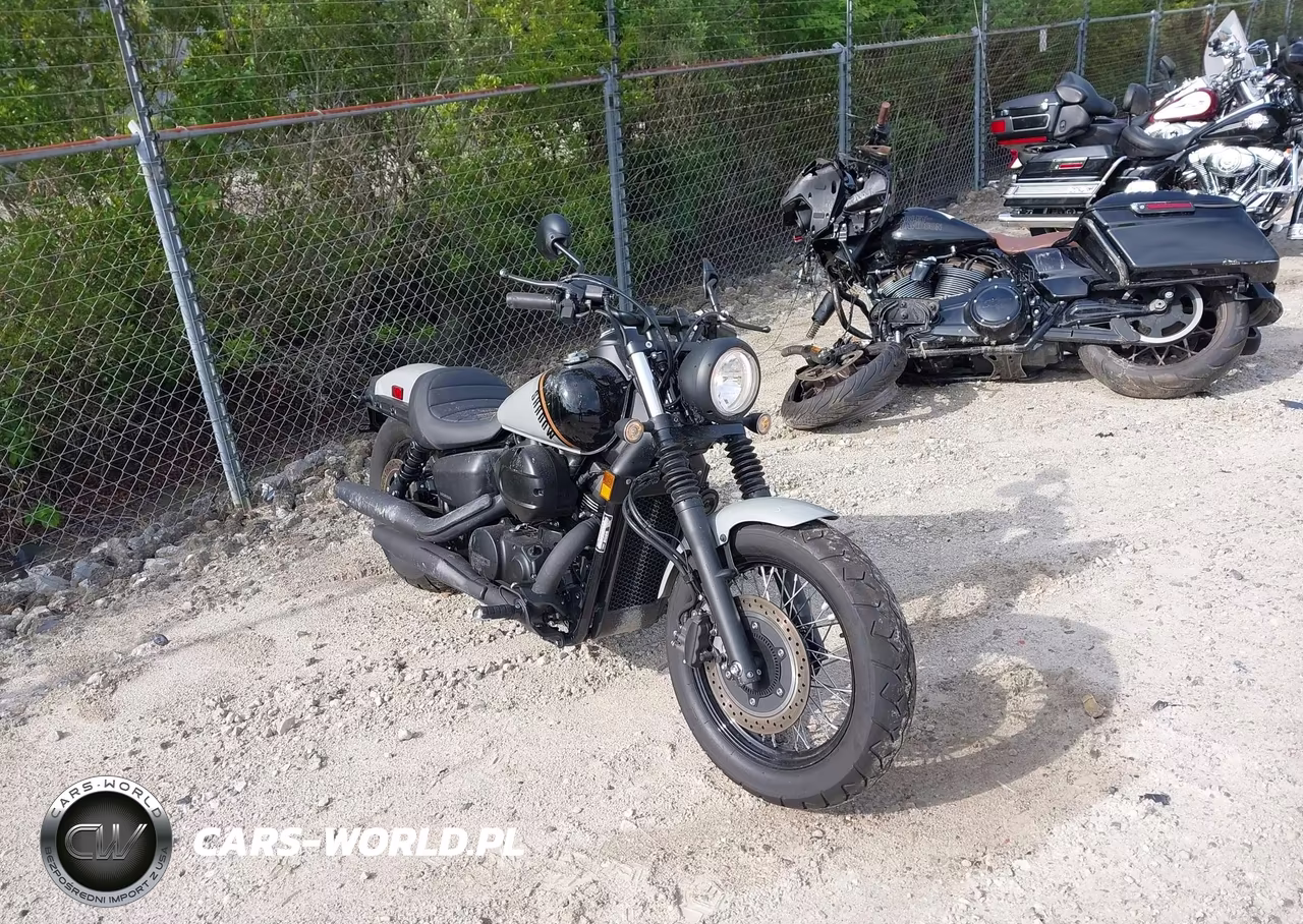 2025 Honda Vt750 C2B – zdjęcie 1 z 17