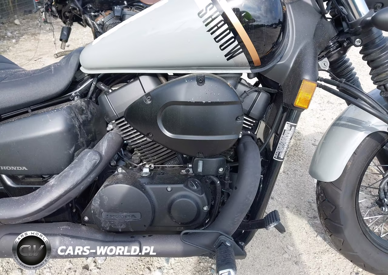 2025 Honda Vt750 C2B VIN:JH2RC53E6SK100489 - 8
