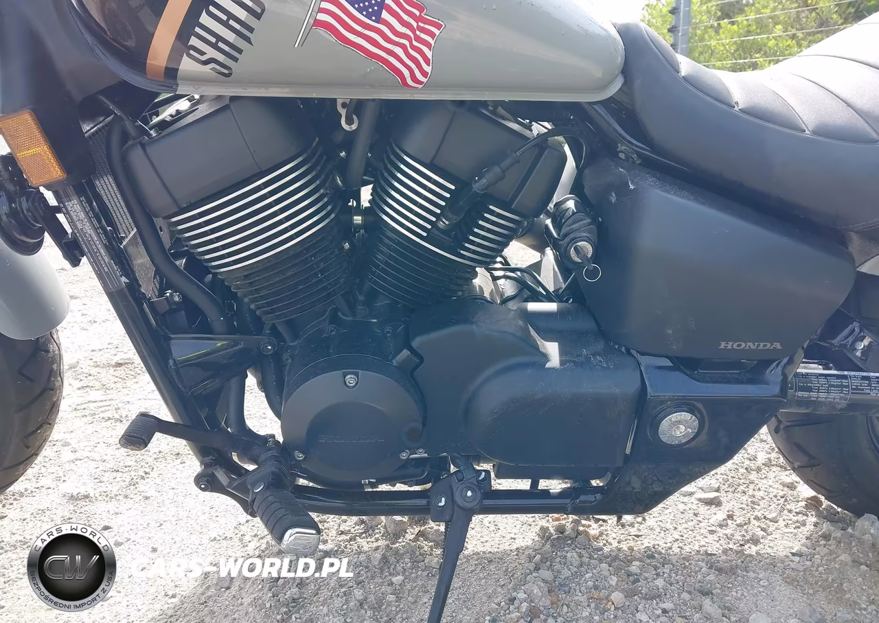 2025 Honda Vt750 C2B VIN:JH2RC53E6SK100489 - 9