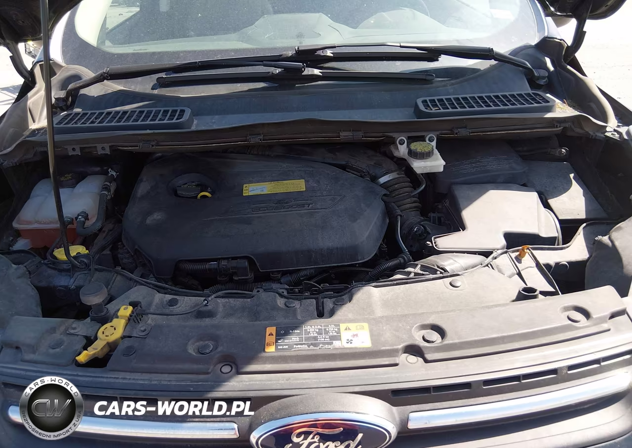 2014 Ford Escape Se VIN:1FMCU9GX9EUB19623 - 10