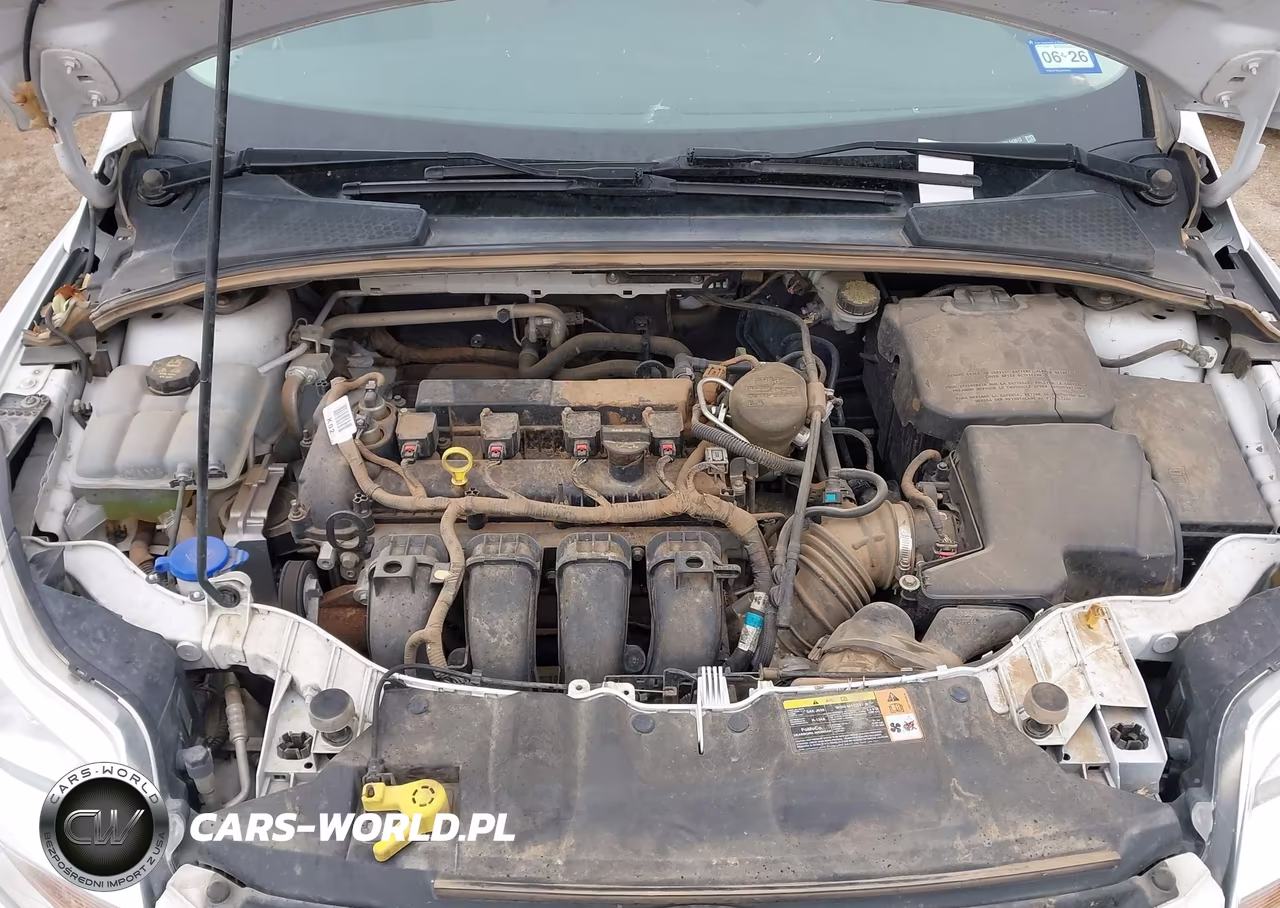 2014 Ford Focus Se VIN:1FADP3F27EL143613 - 10