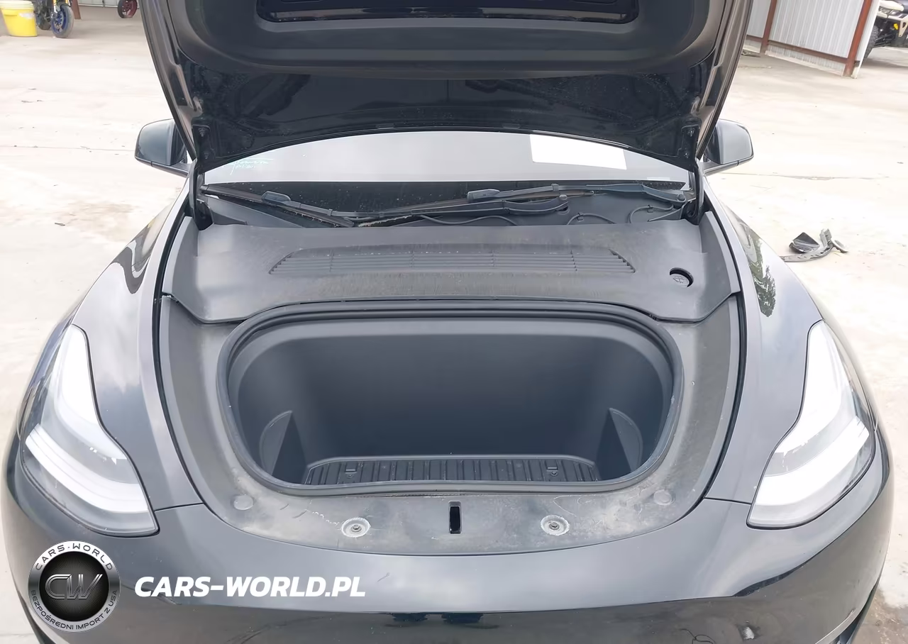 2021 Tesla Model Y Performance Dual Motor All-Wheel Drive VIN:5YJYGDEFXMF258312 - 10