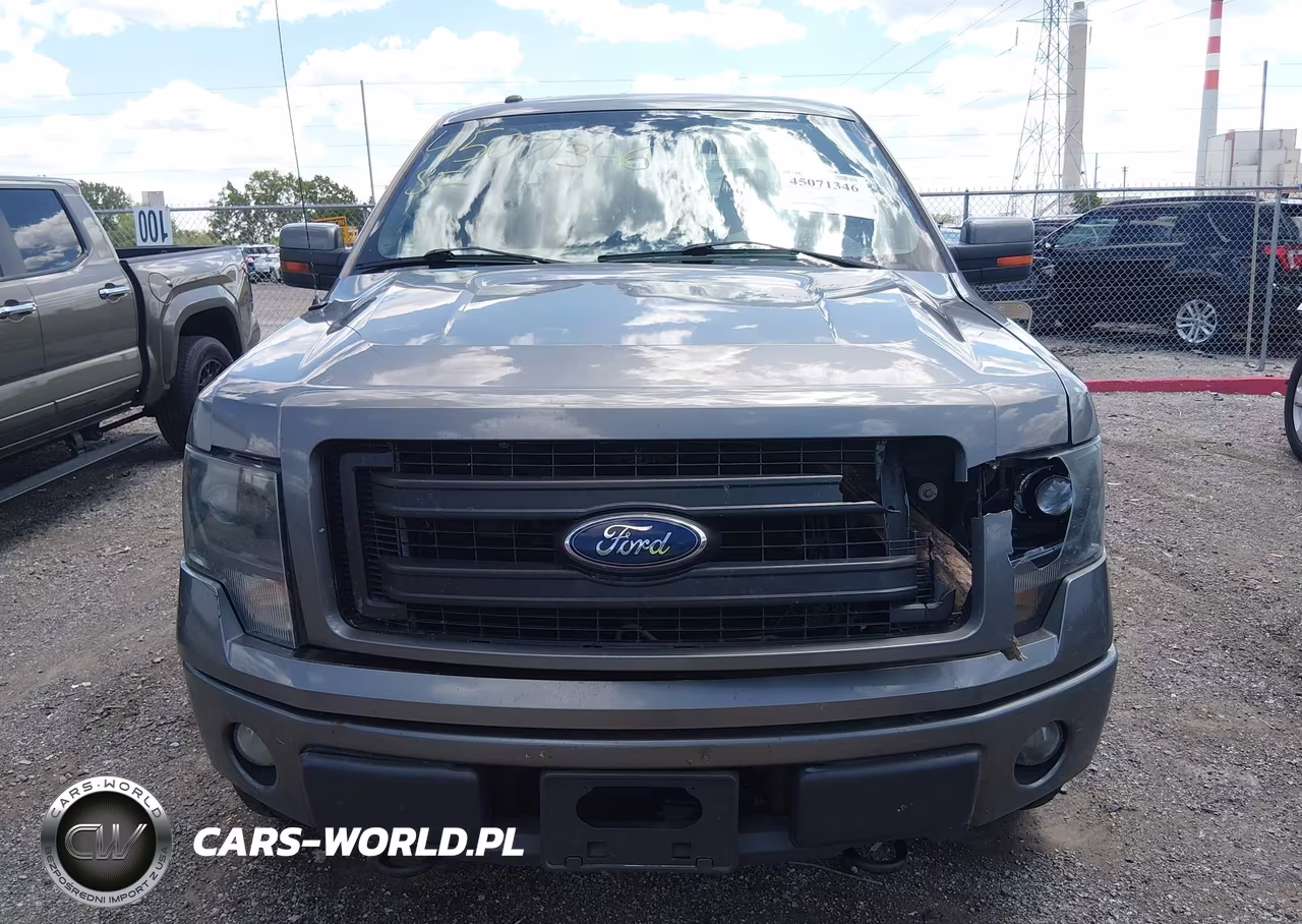 2013 Ford F-150 Fx4 VIN:1FTFW1EFXDFA42111 - 12