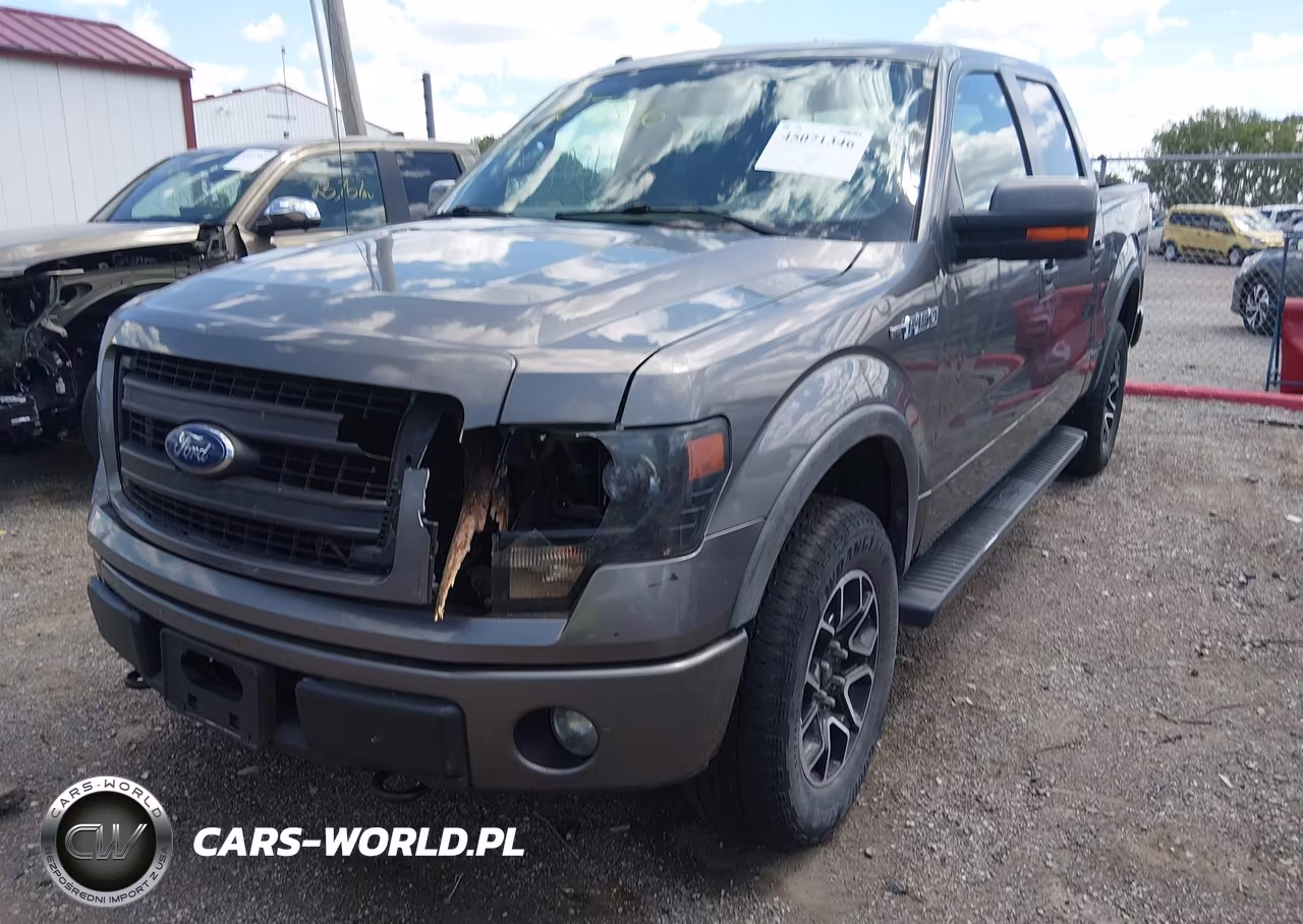 2013 Ford F-150 Fx4 VIN:1FTFW1EFXDFA42111 - 2